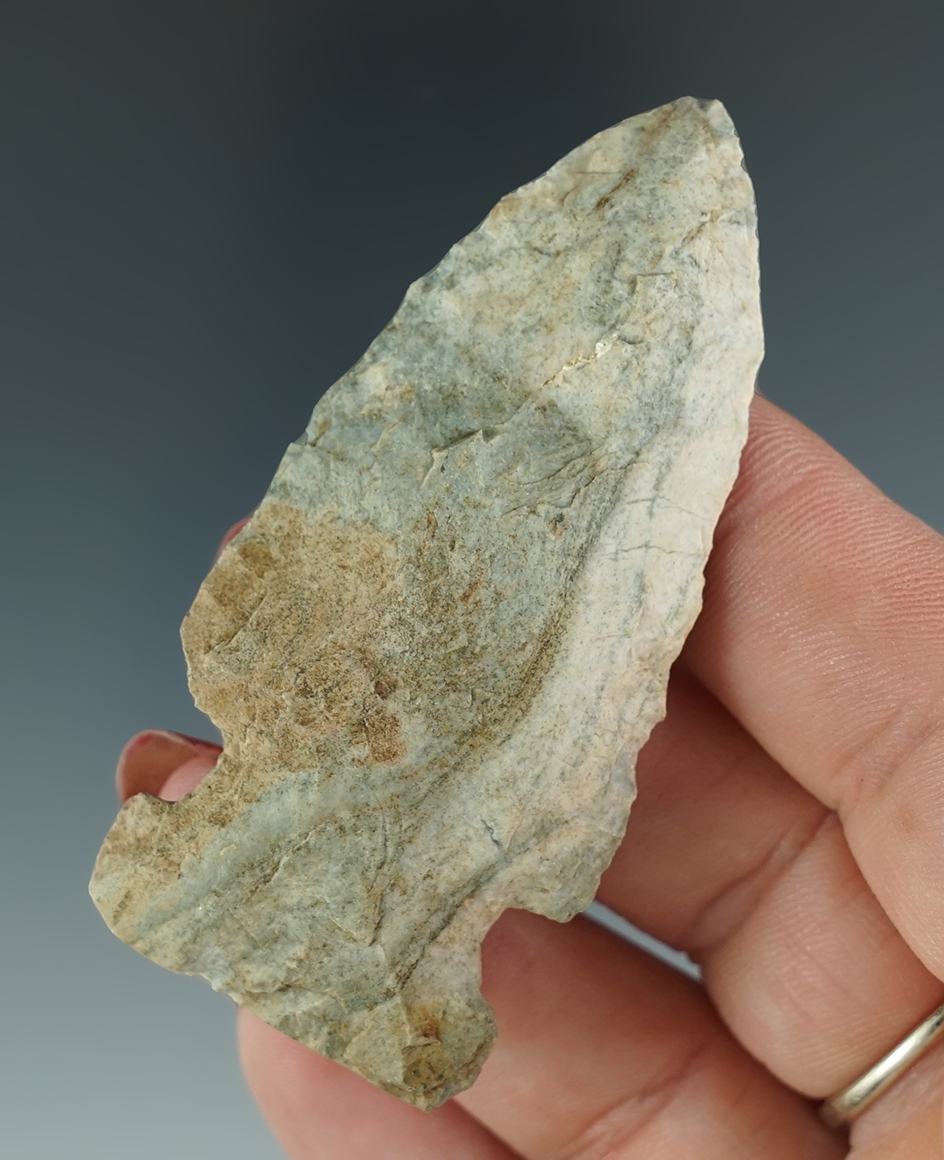 2 5/8" Indiana green (Attica Chert) Archaic Sidenotch with excellent color pattern.