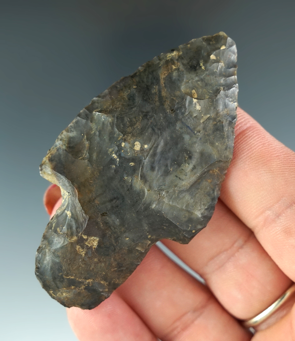 Main artifact image