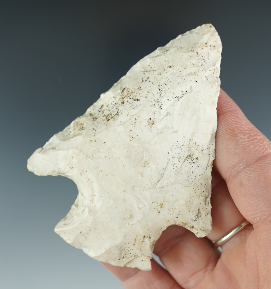 Main artifact image