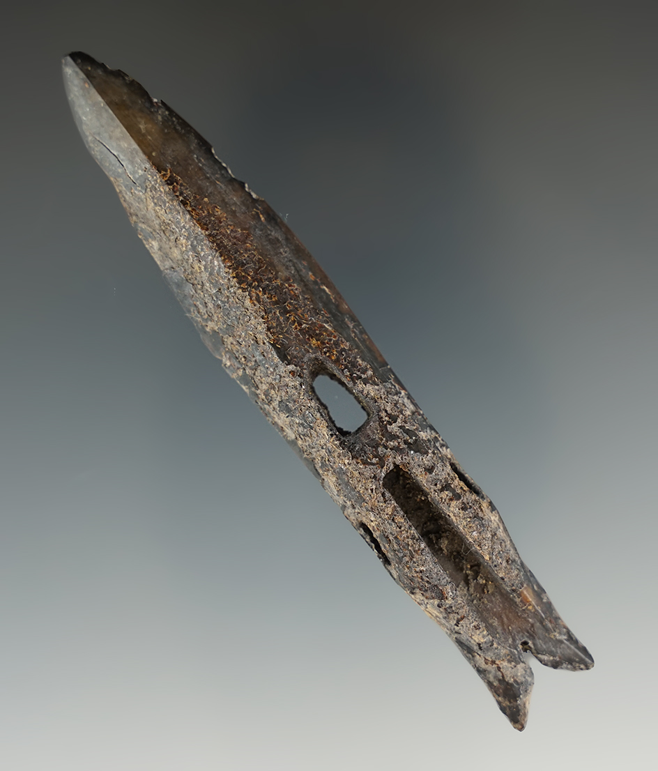 Main artifact image