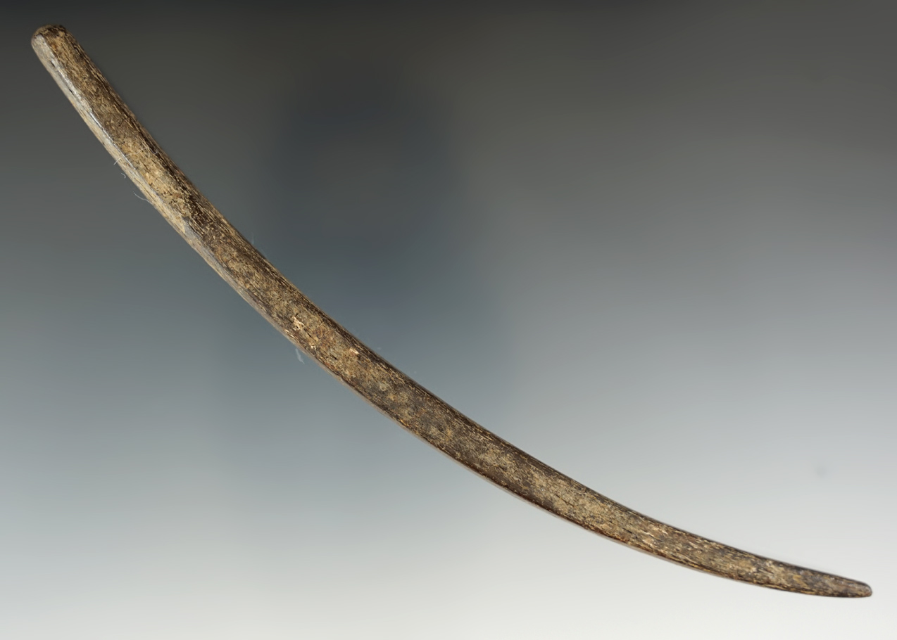 Main artifact image