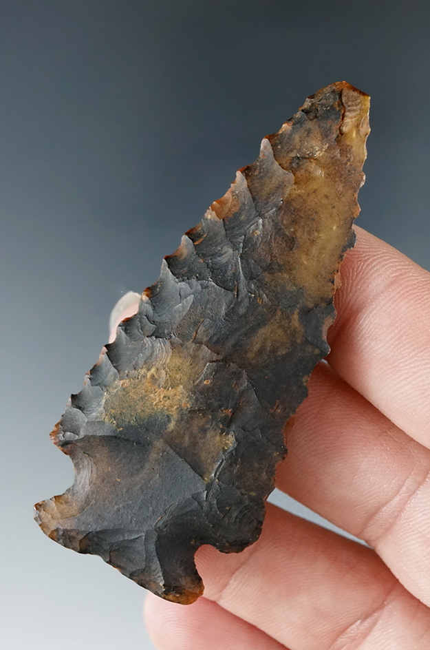 Main artifact image
