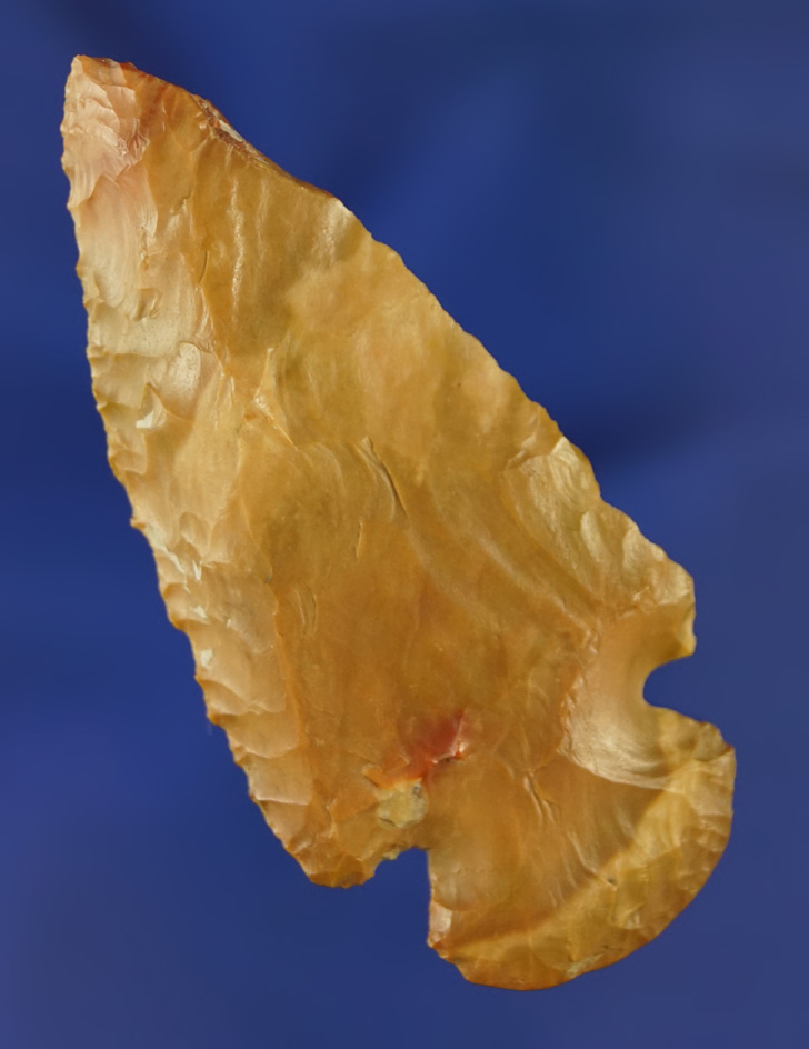 Main artifact image