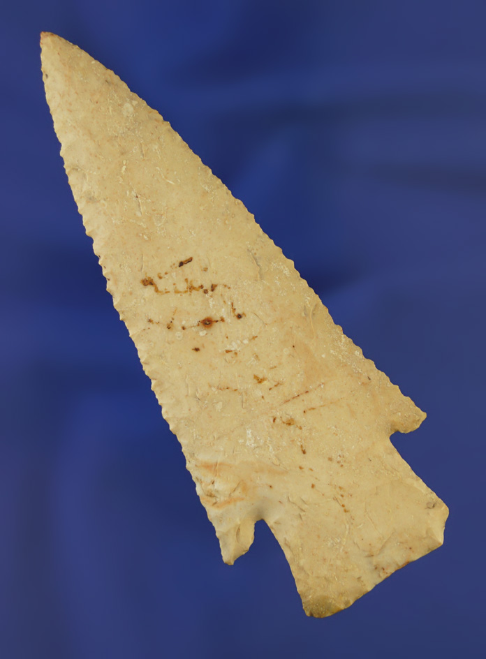 Thin and exceptionally well made 4" Hardin with nice mineral deposits on surface - Jersey Co.,  IL.