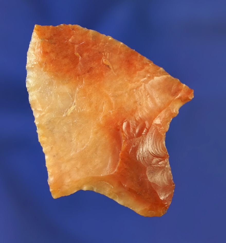 2 1/8" Marion found in the Pasco/Pinellas Co.,  Florida area. Pictured in Who's Who number 10