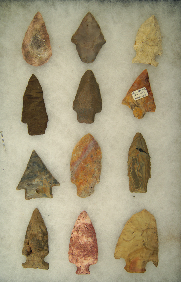 Set of 12 Assorted Arrowheads found in various locations, largest is 2 1/2"..