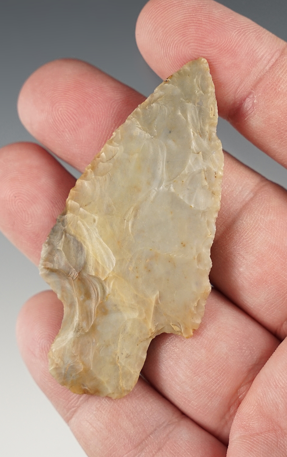 Thin and finely made 2 3/4" Adena. Found by George Armann in Meigs Co., Ohio in 1990.