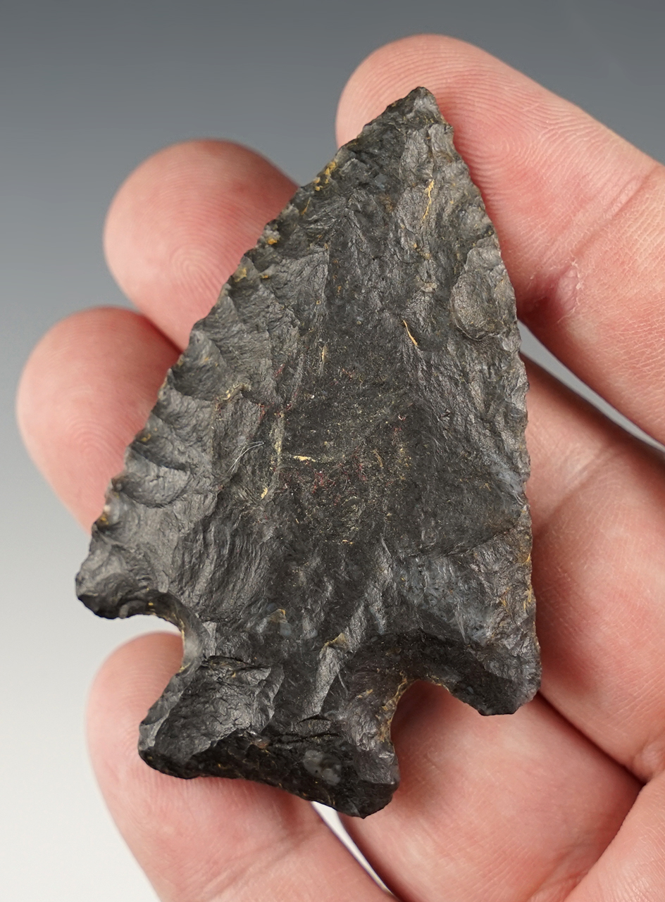 Main artifact image