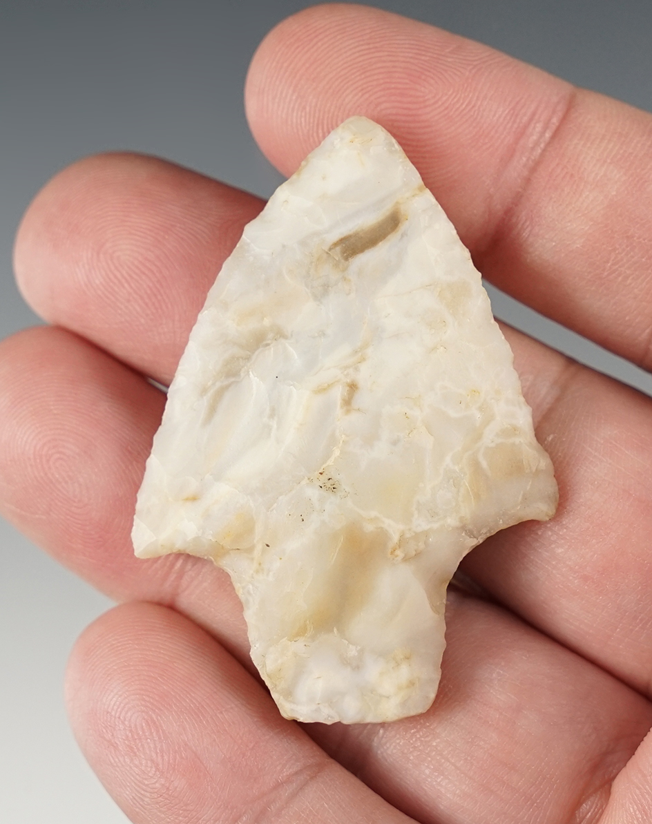 Main artifact image