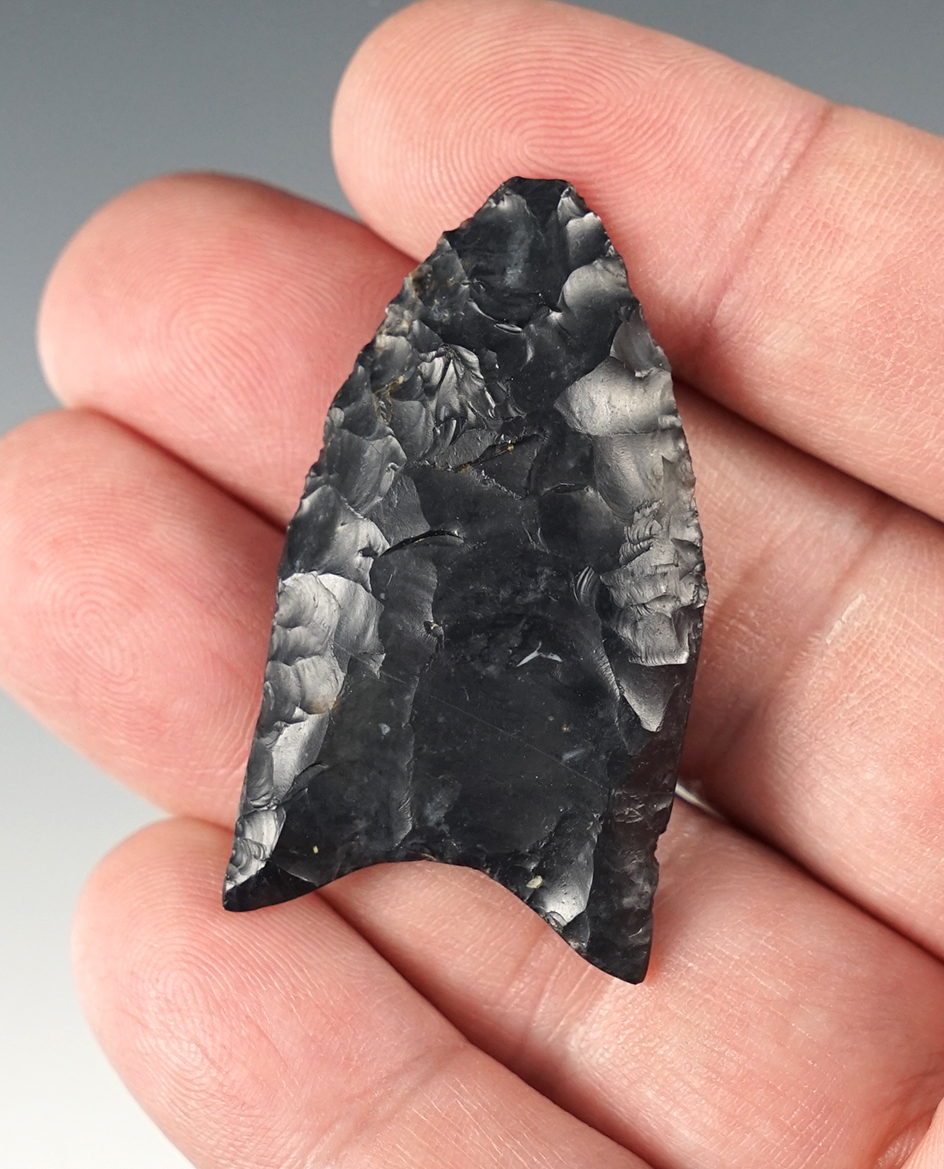 1 3/4" Classic style Paleo Fluted Clovis. Found near Norwalk, Huron Co., Ohio. Ex. Dan Bartlett.