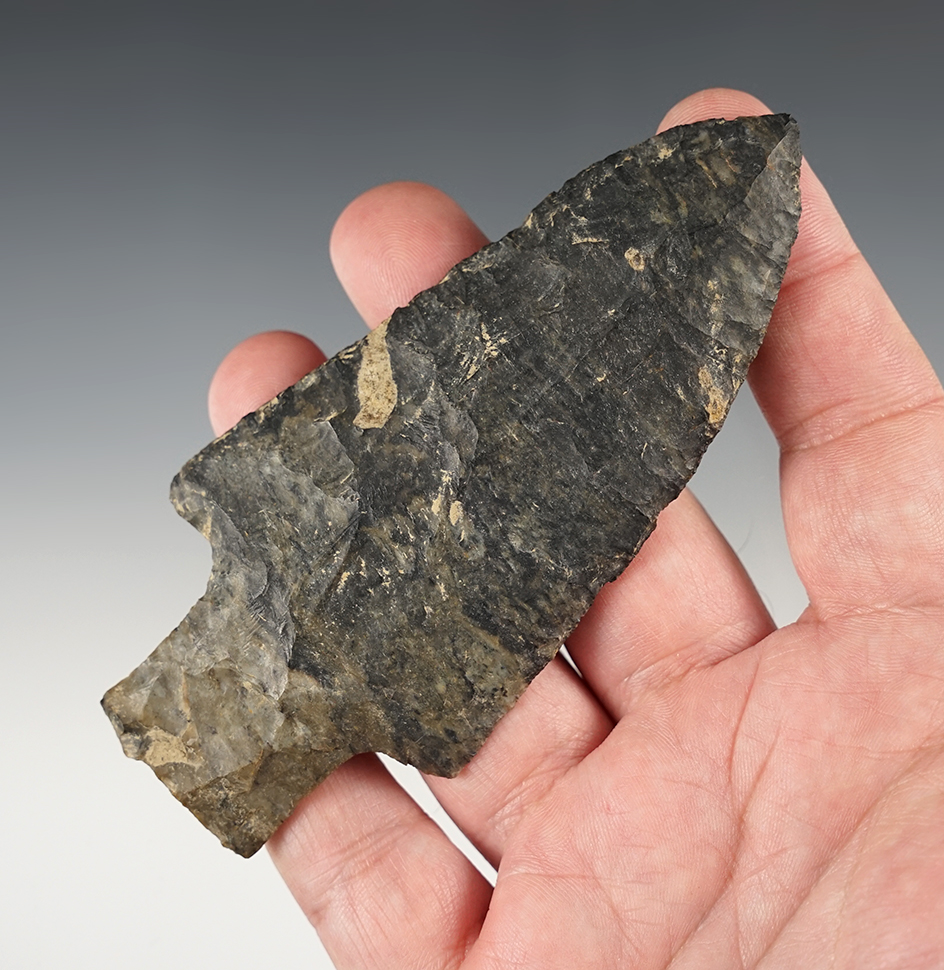 Incredible 4 9/16" Adena with excellent form and flaking. Found in Stark Co., Ohio. 