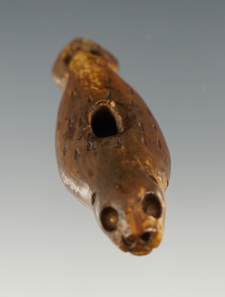 Main artifact image
