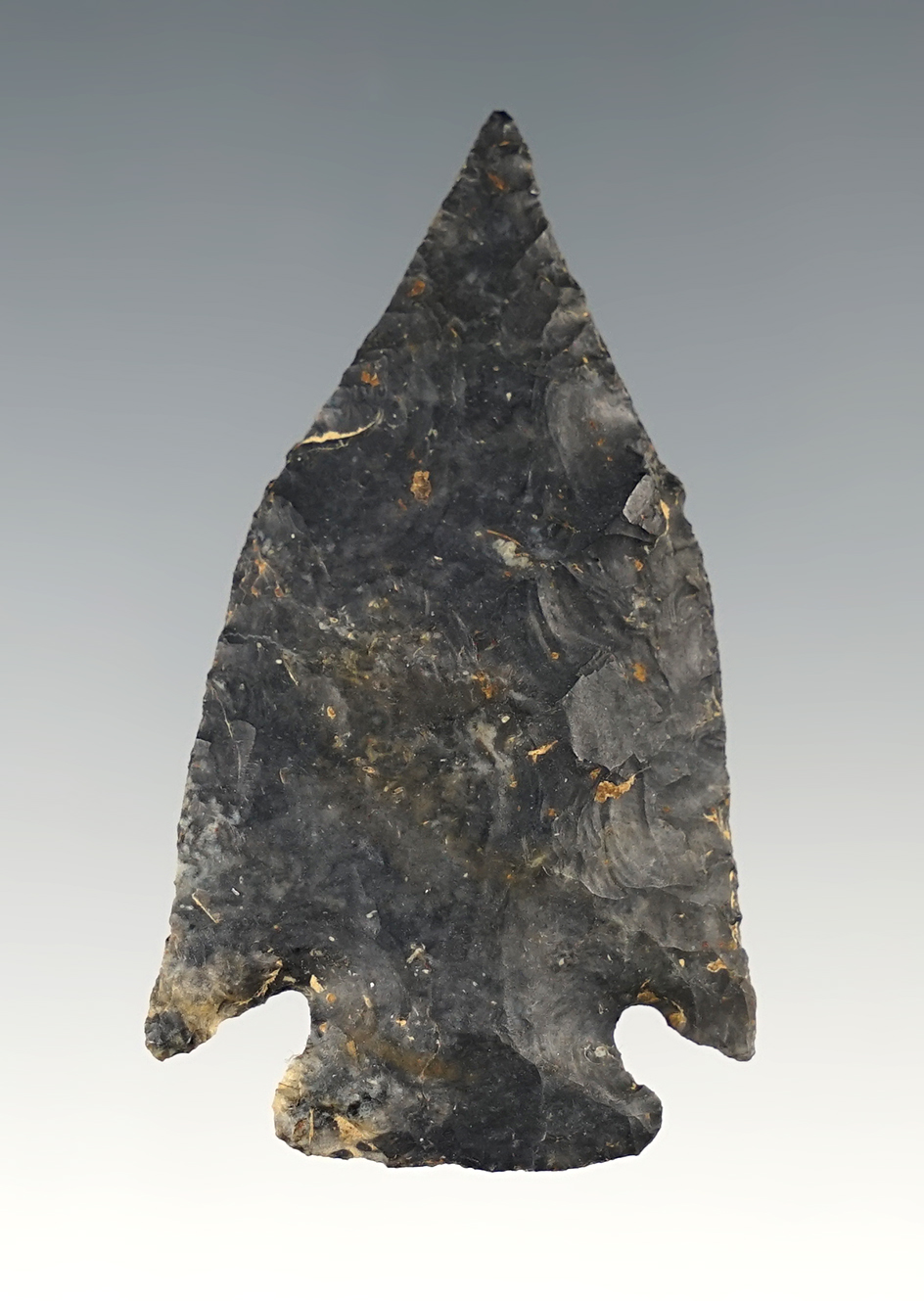 Fine 2 3/16" Needle-tip Pentagonal found on the L. Wardel Farm in Stark Co., Ohio. 