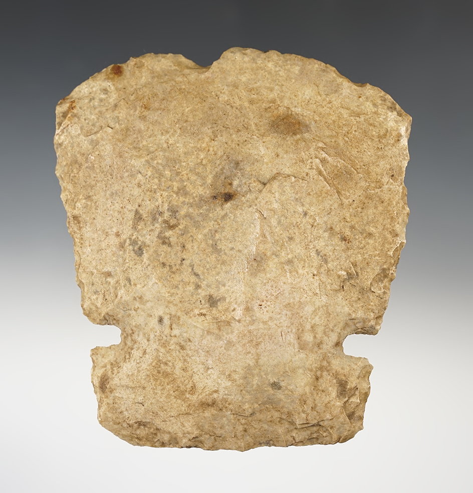 Main artifact image