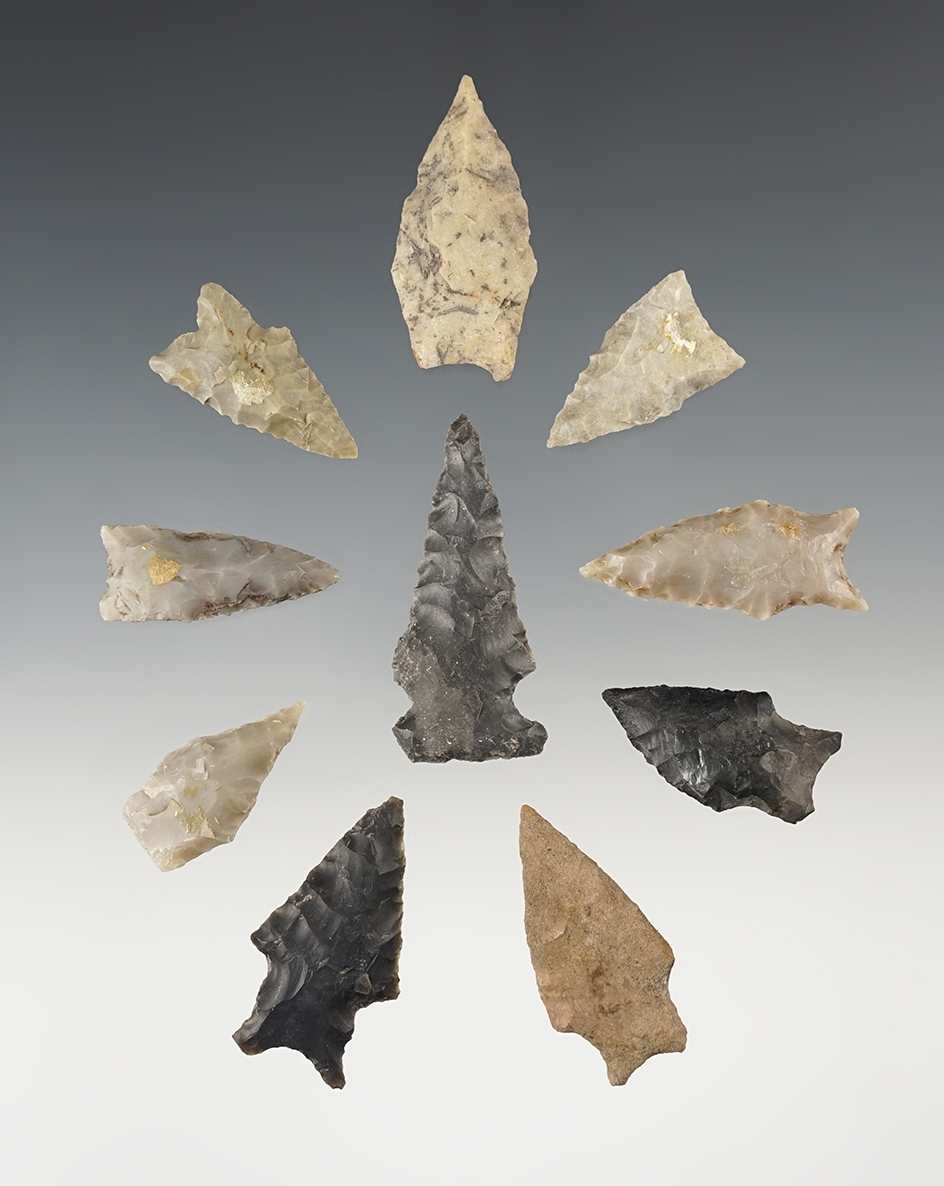 Ex. Museum! Set of 10 nice assorted points. The largest is 1 3/4".