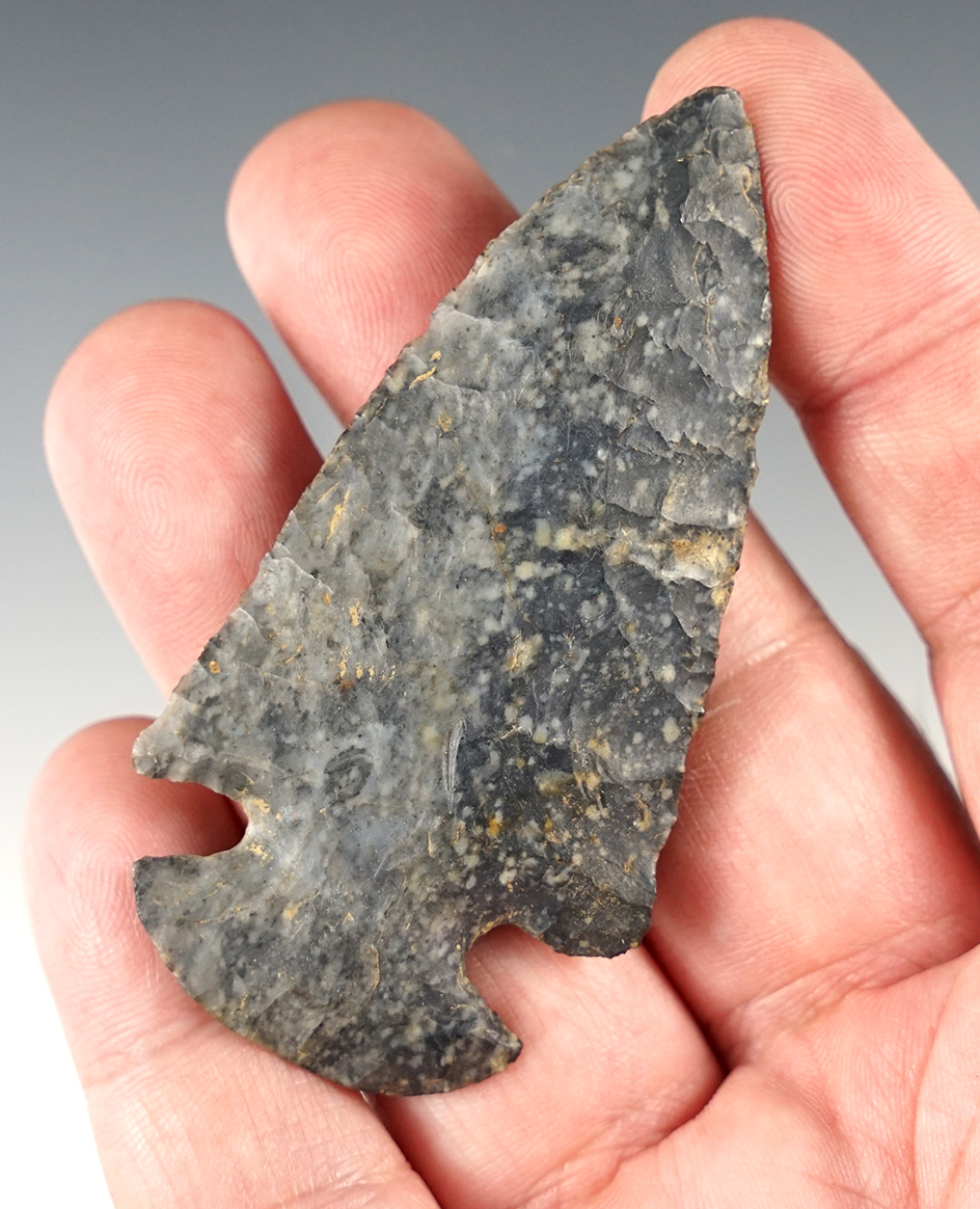 Fine 2 15/16" Dovetail found on the F. Lanzer Farm in n Stark Co., Ohio. A classic example.