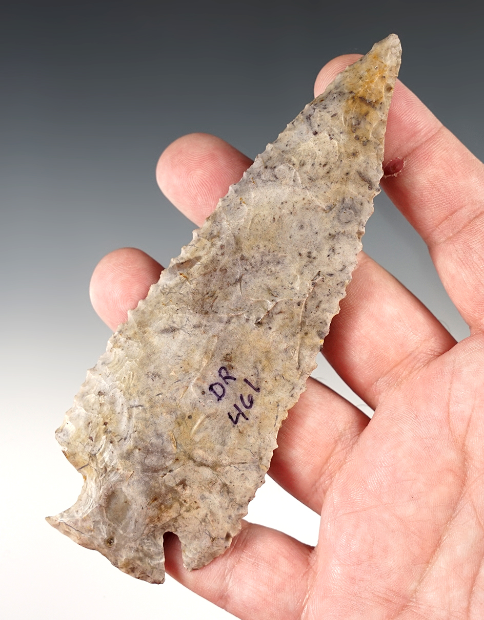 Large and finely serrated 5 3/16" Notch Based Dovetail.