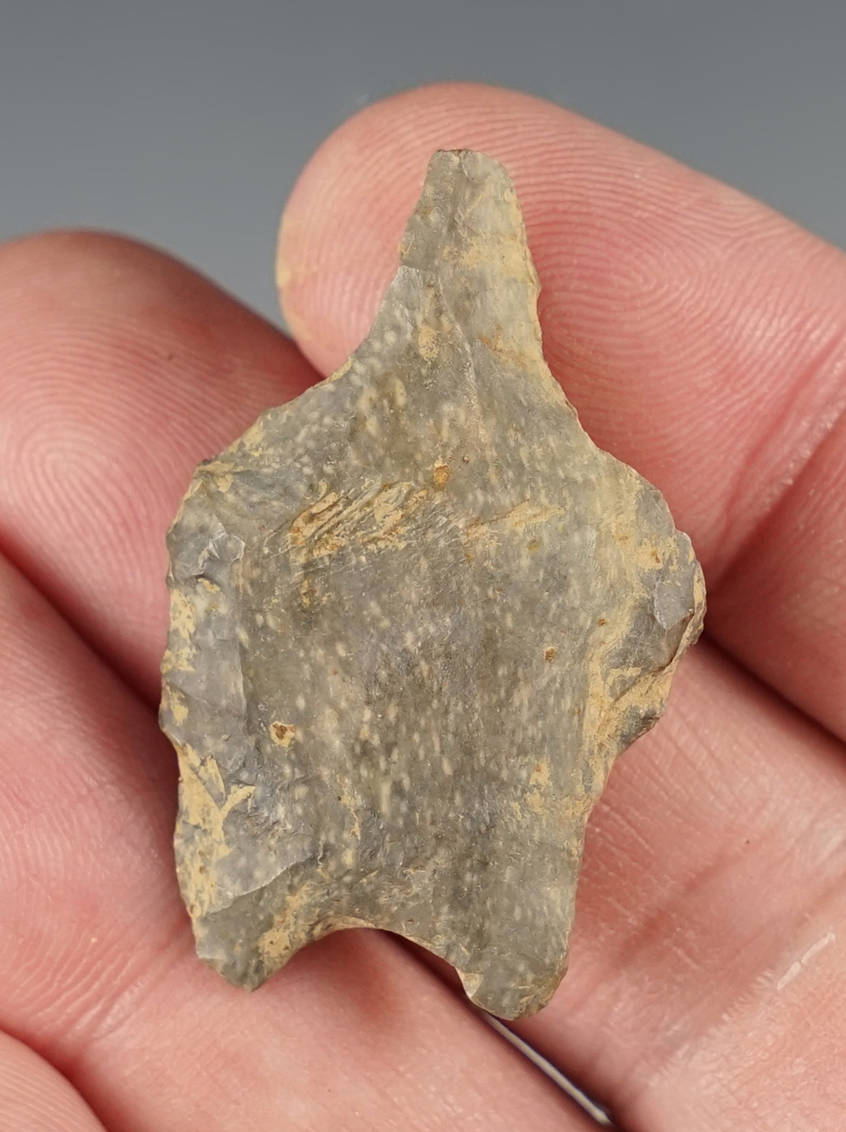 Main artifact image