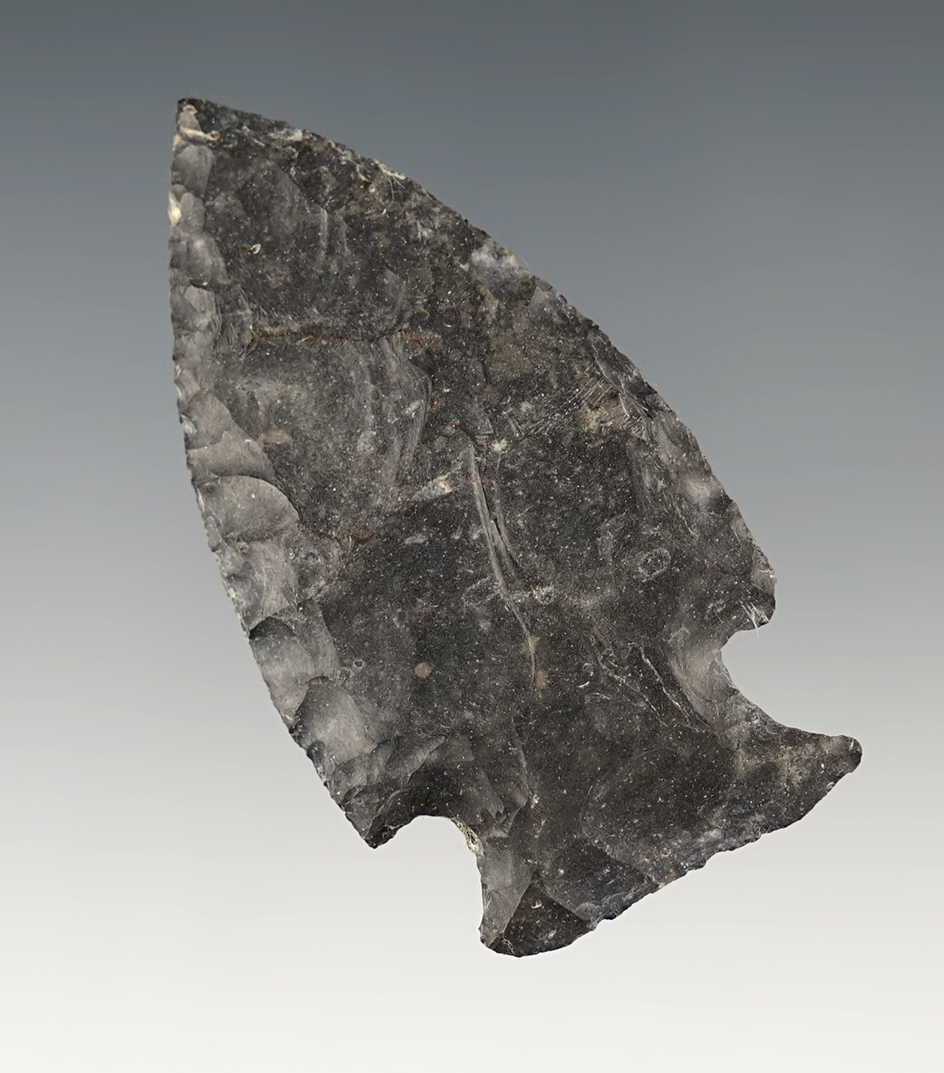 2 1/2" Coshocton Flint Intrusive Mound that is very nicely flaked. Found in Ohio.