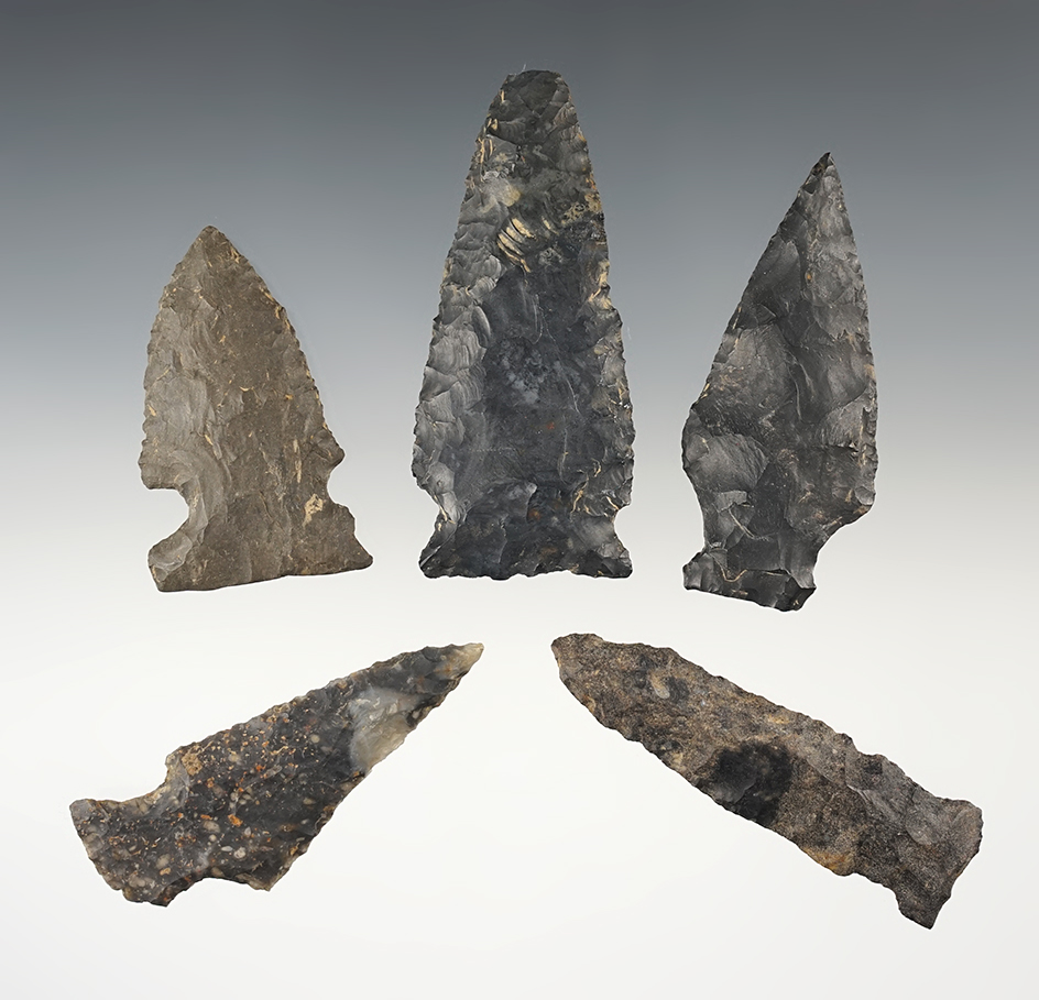 Set of 5 Coshocton points found in Stark, Tuscarawas, & Holmes Co., Ohio. Largest is 3 1/16".