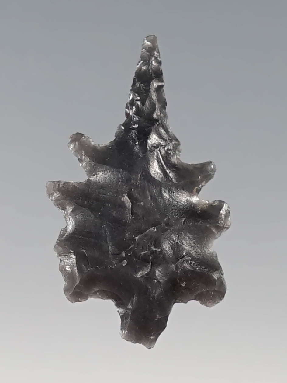 Main artifact image