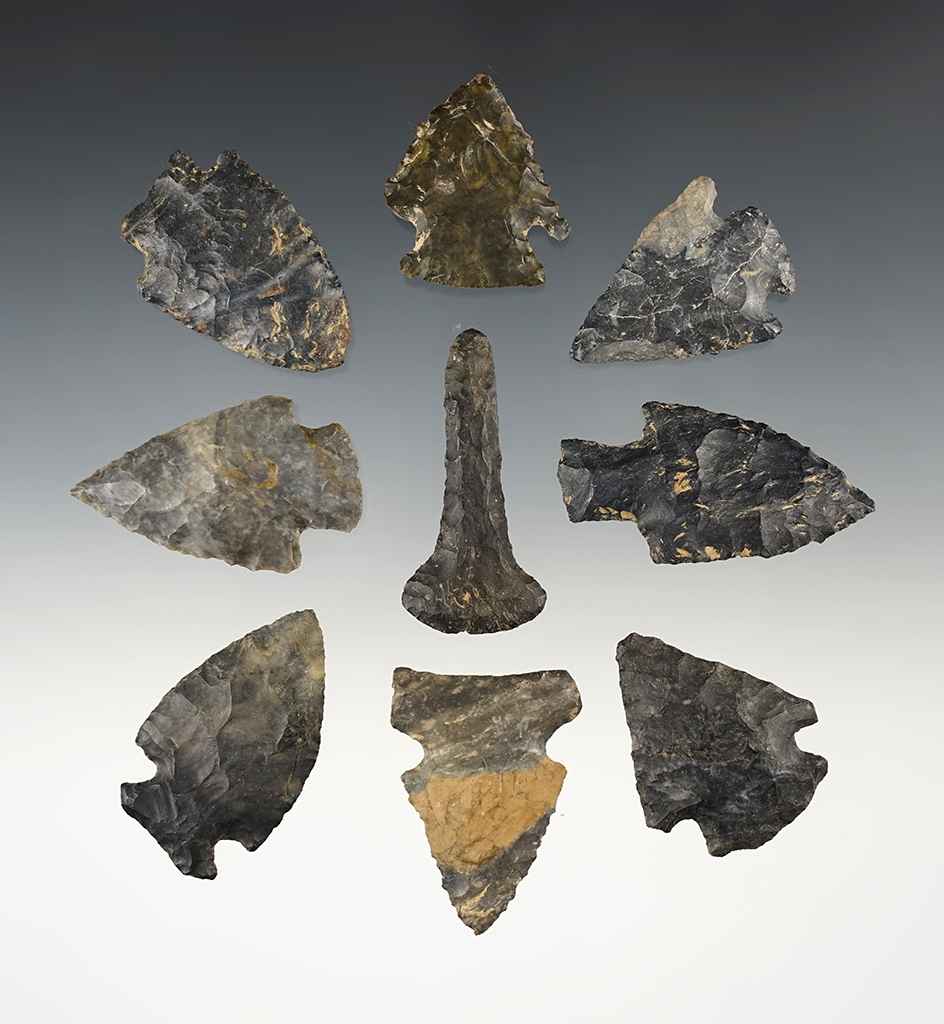 Set of 9 nice Coshocton points found in Stark & Tuscarawas Co., Ohio. The largest is 2".