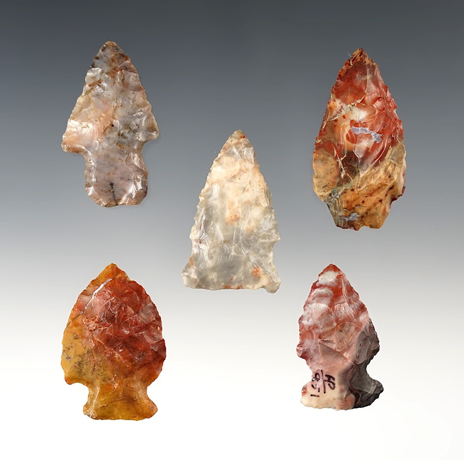 5 highly colorful Ohio Woodland points made from Flint Ridge Flint. The largest is 1 3/4".
