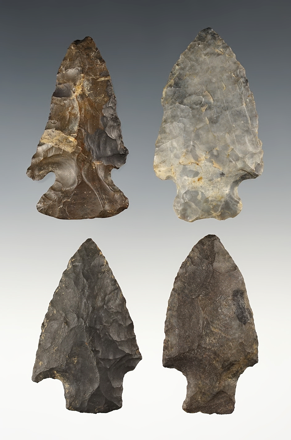 Set of 4 nicely made Coshocton points found in Tuscarawas Co., Ohio. The largest is 2 3/8".