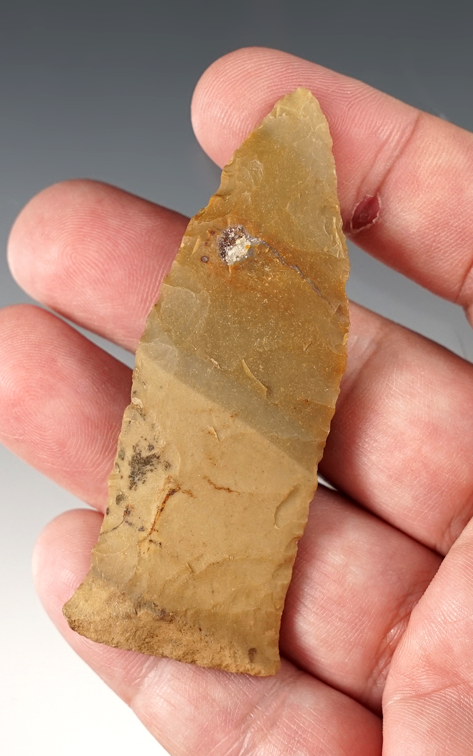 2 15/16" Kentucky Copena with good ancient grinding to the base.