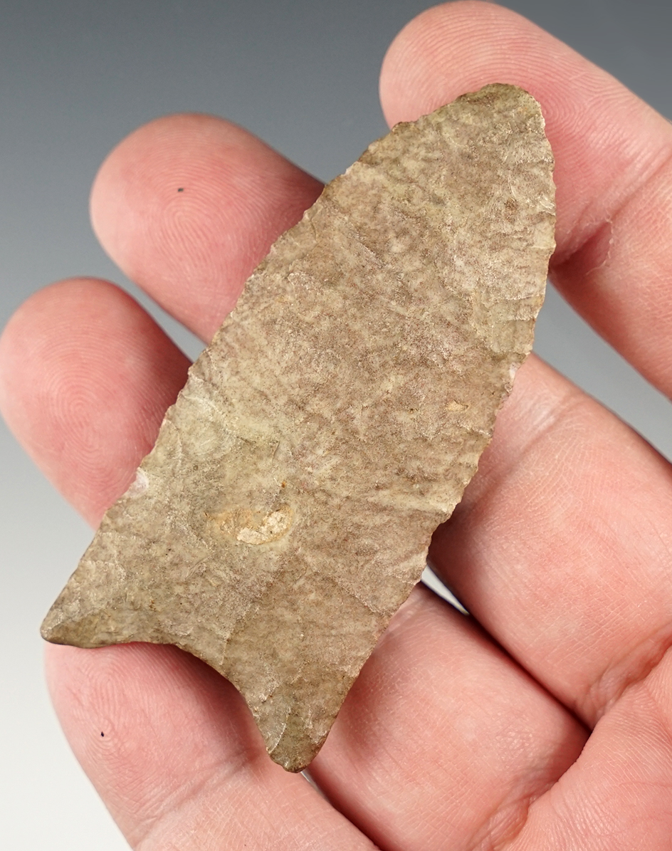 Fine 2 11/16" Unfluted Paleo Clovis - Kentucky. Very nice ancient grinding to the basal area.