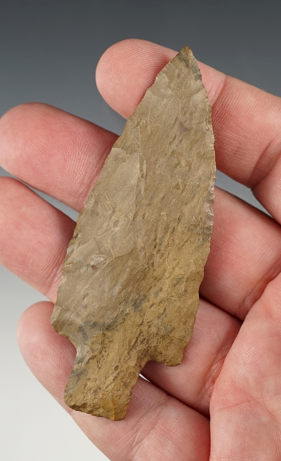 Main artifact image