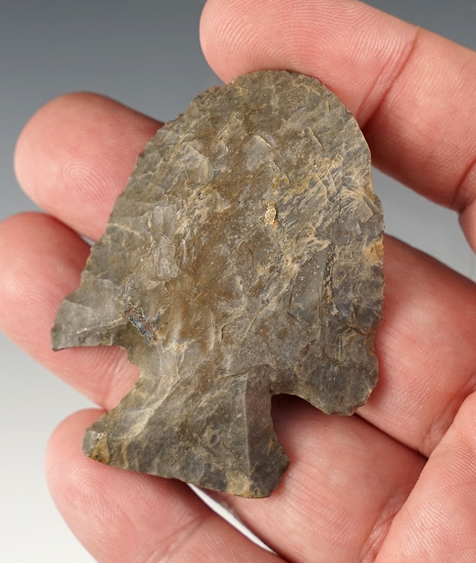 Nice 2 5/16" Thebes Hafted Scraper found on the F. Amos Farm in Stark Co., Ohio. 