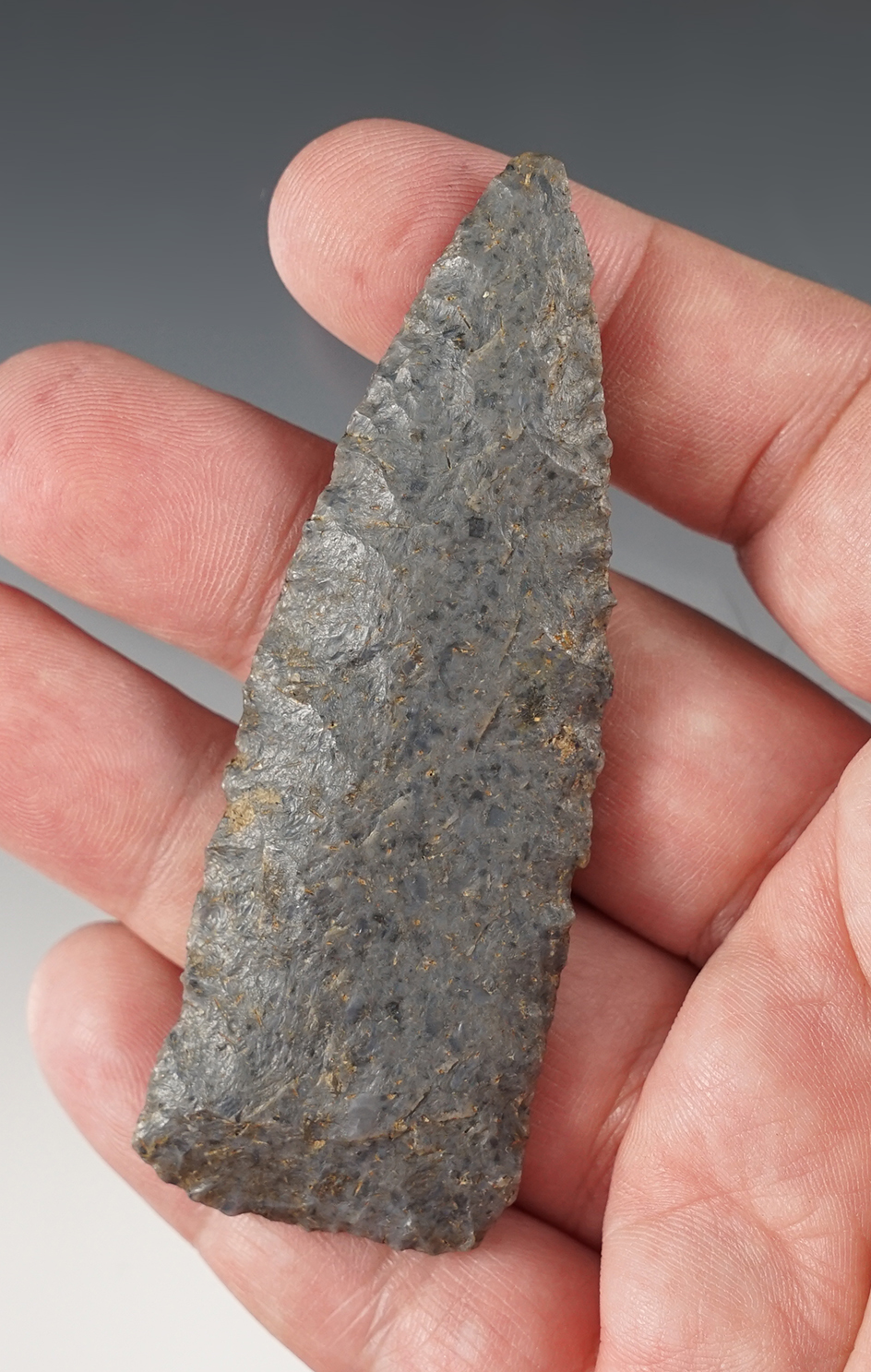 Nice 3 5/16" Copena found in Pulaski Co., Kentucky. Ex. Bill Carter collection.