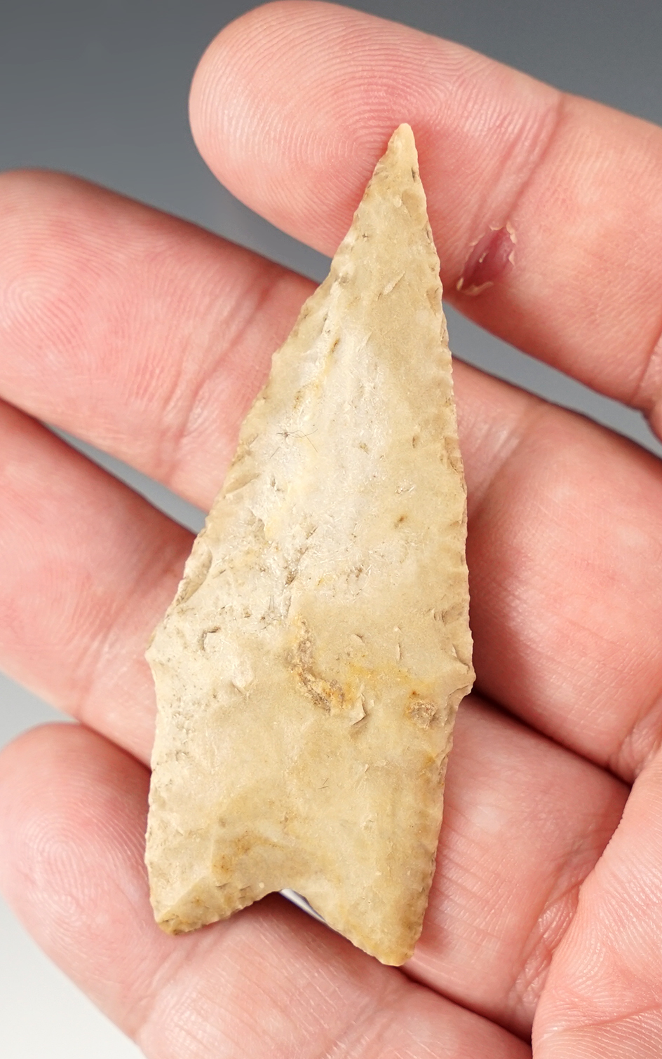 Ex. Museum! 2 5/8" Texas Pedernales in excellent condition. Ex. Ferrell collection.