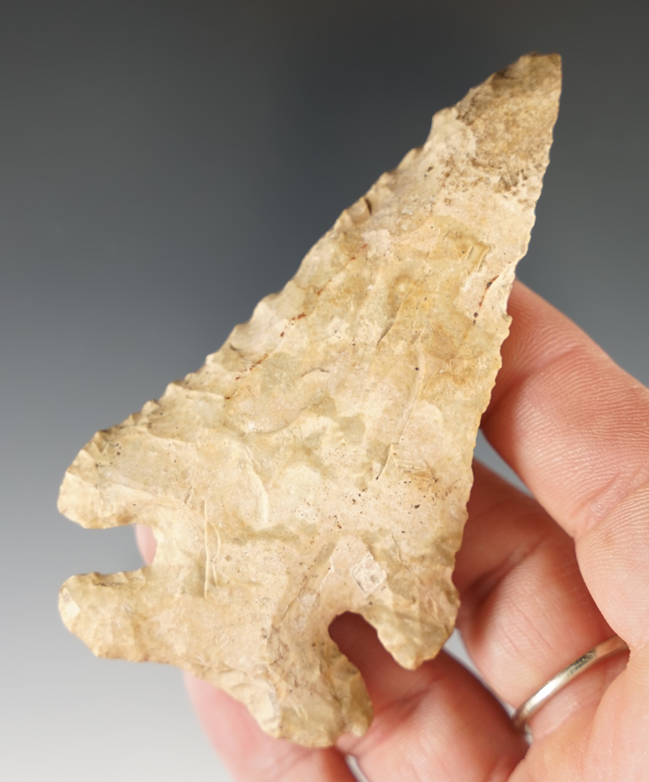 3 3/8" Classic Archaic Thebes Bevel, made from two-tone Chert. Found in Marion Co., Indiana.