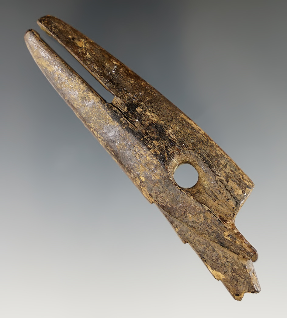 Main artifact image