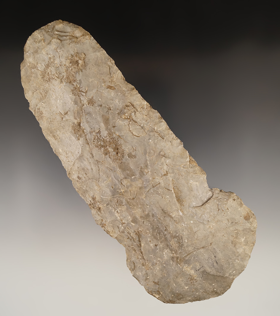 Main artifact image