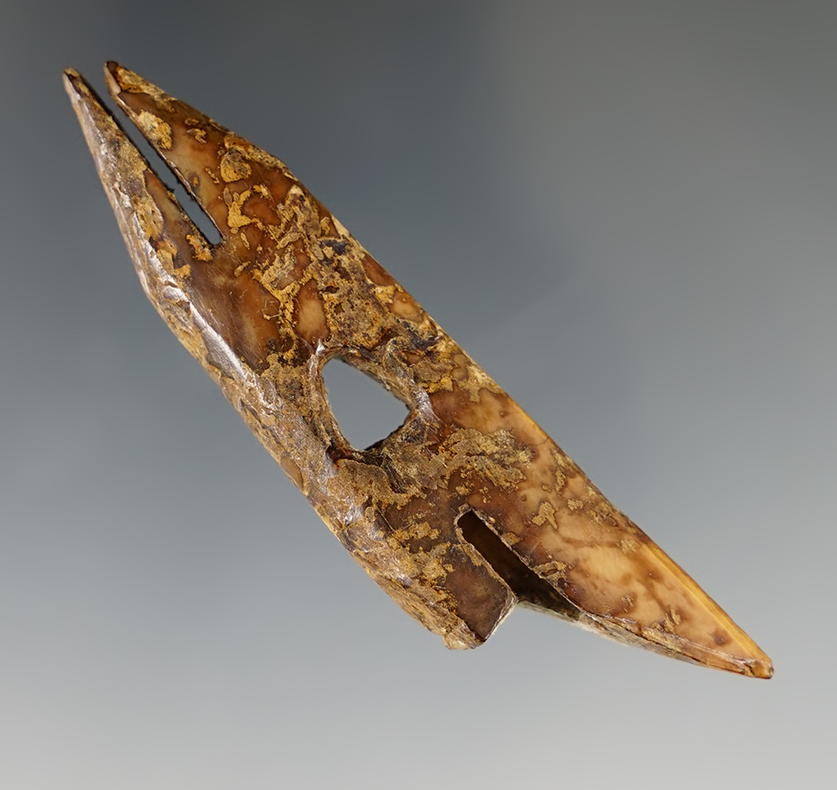 Main artifact image