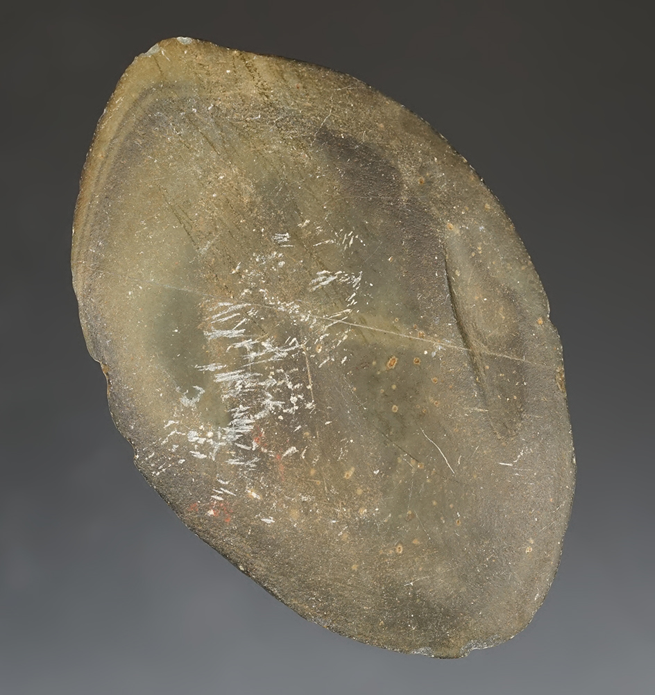 Main artifact image