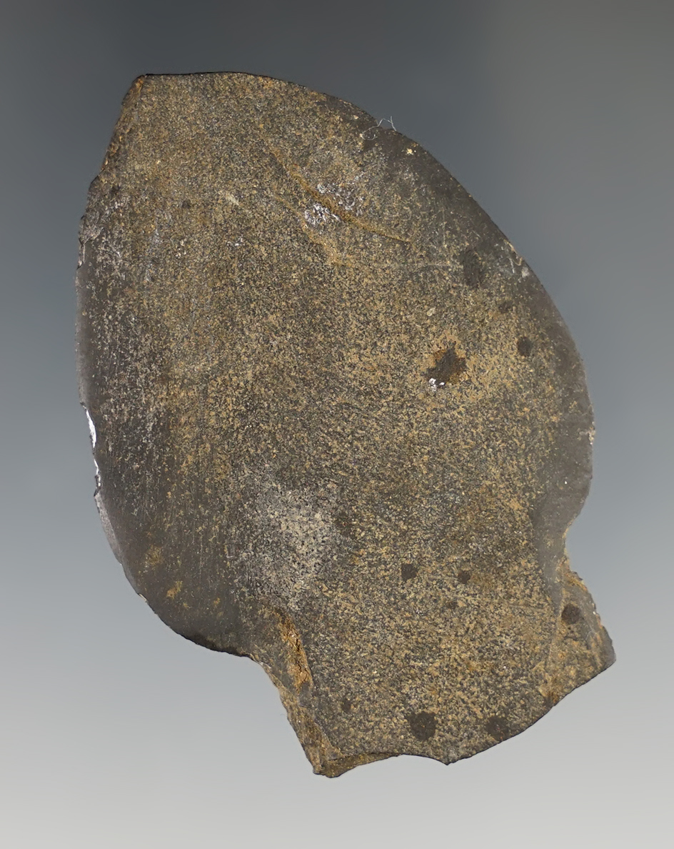 Main artifact image