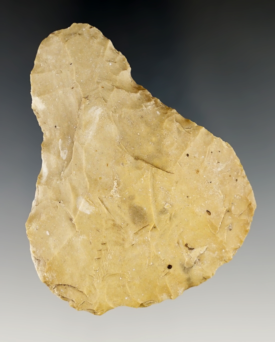 Main artifact image