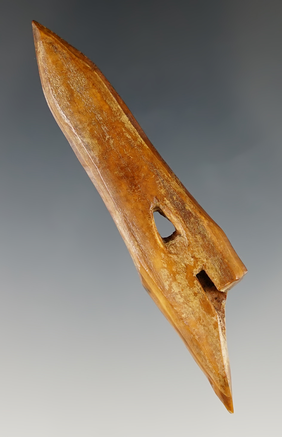 Main artifact image