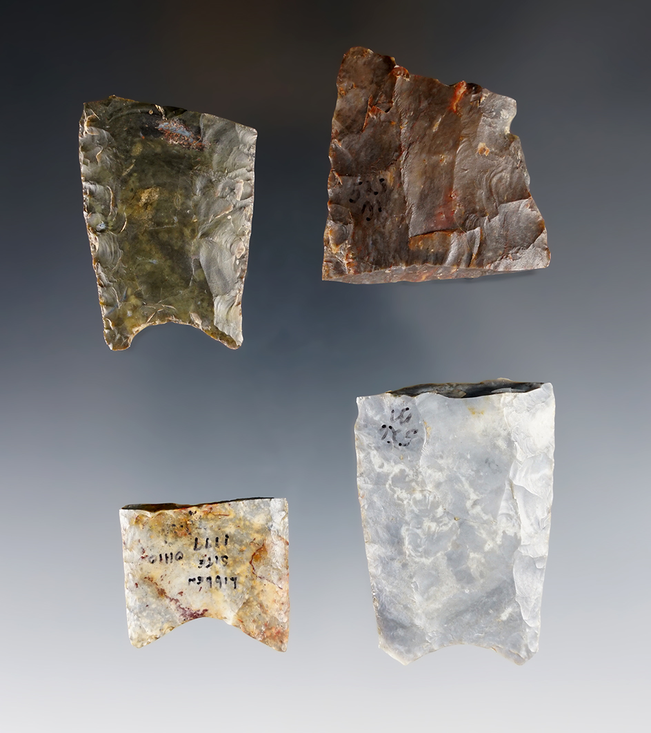 Set of 4 Ohio Paleo Clovis bases. The largest is 1 13/16".