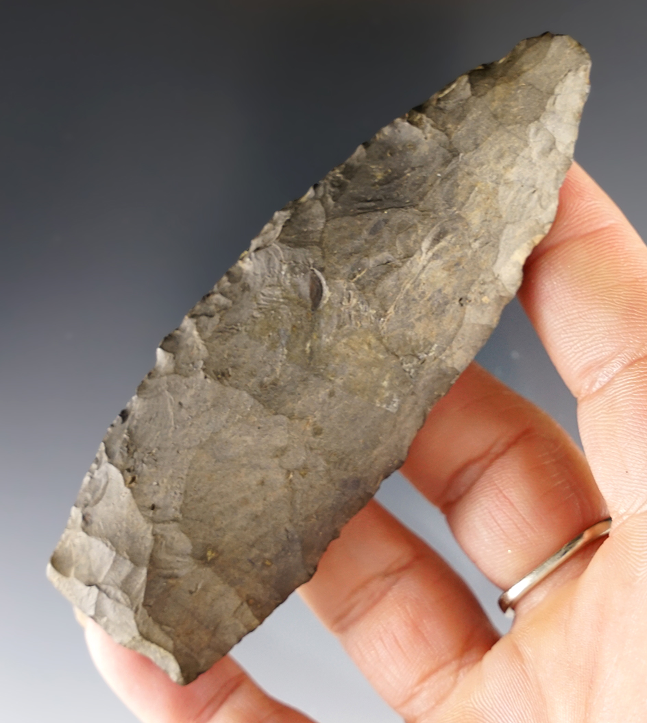 3 7/8" Paleo Lanceolate found in Delaware Co., Ohio. Ex. Cline collection.