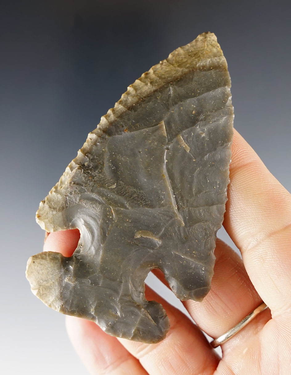 3 3/16" E-Notch Thebes that is beveled - Putnam Co., Ohio. Ex. David Root collection.