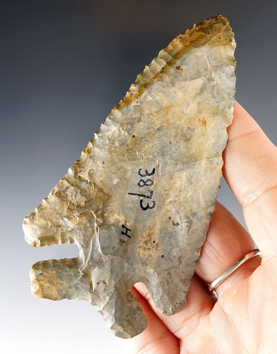 Superb 4" Thebes Bevel - Restoration on one shoulder. Delaware Co., Ohio. Pictured.