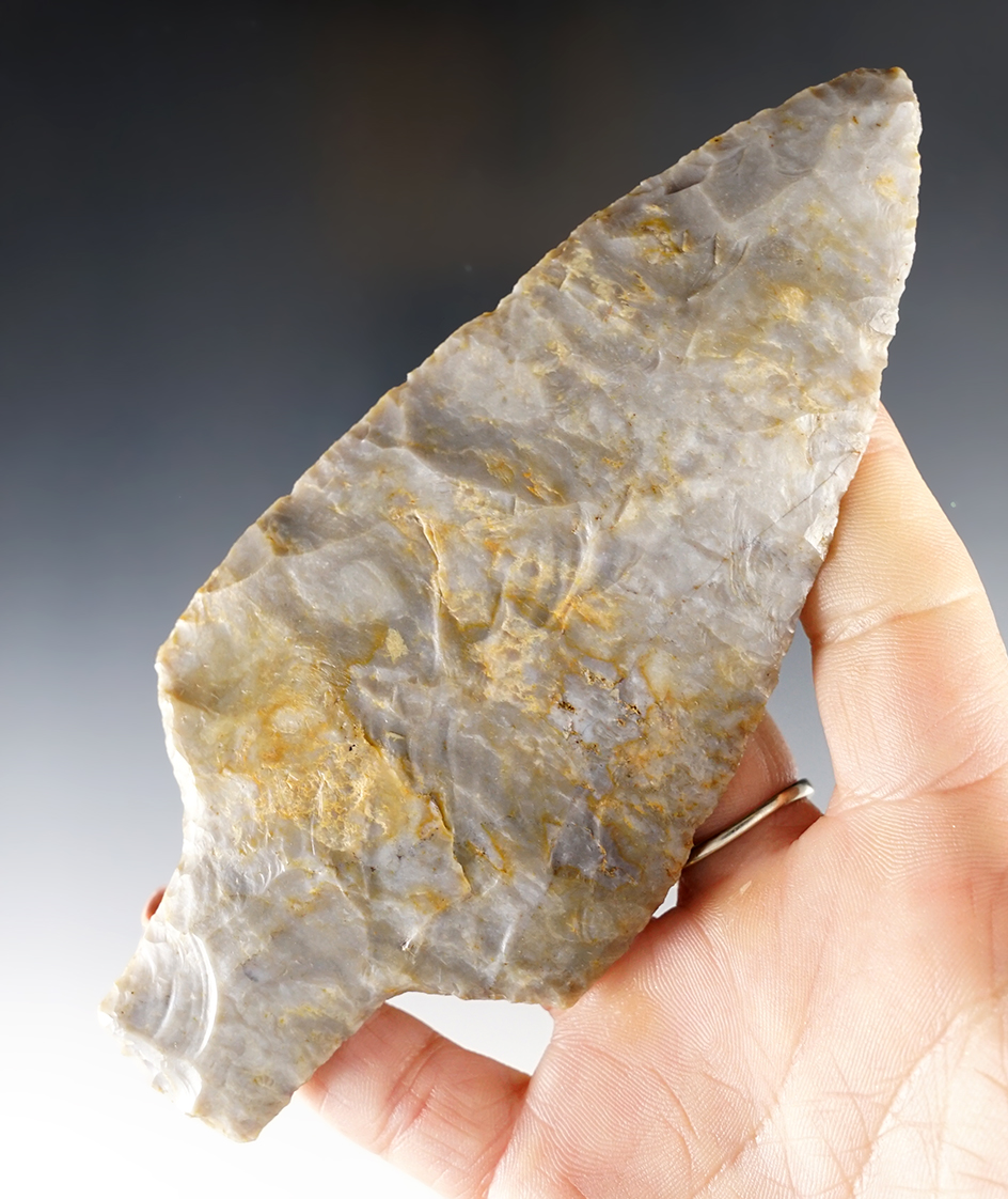 Well flaked 5 9/16" Adena Spear found in Allen Co., Ohio. Ex. Tom Whitehead collection.