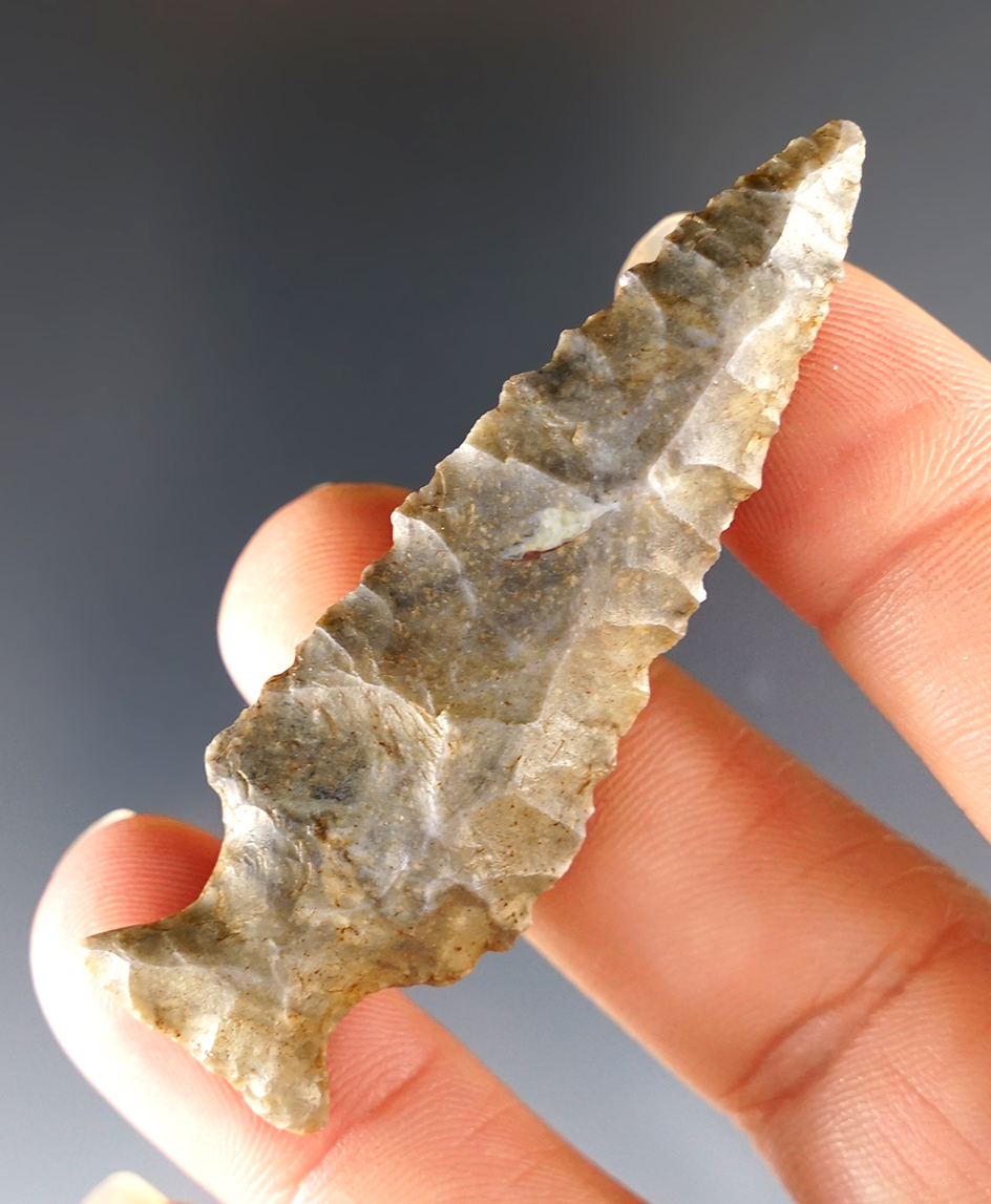 2 3/8" Ohio Fishspear in excellent condition.