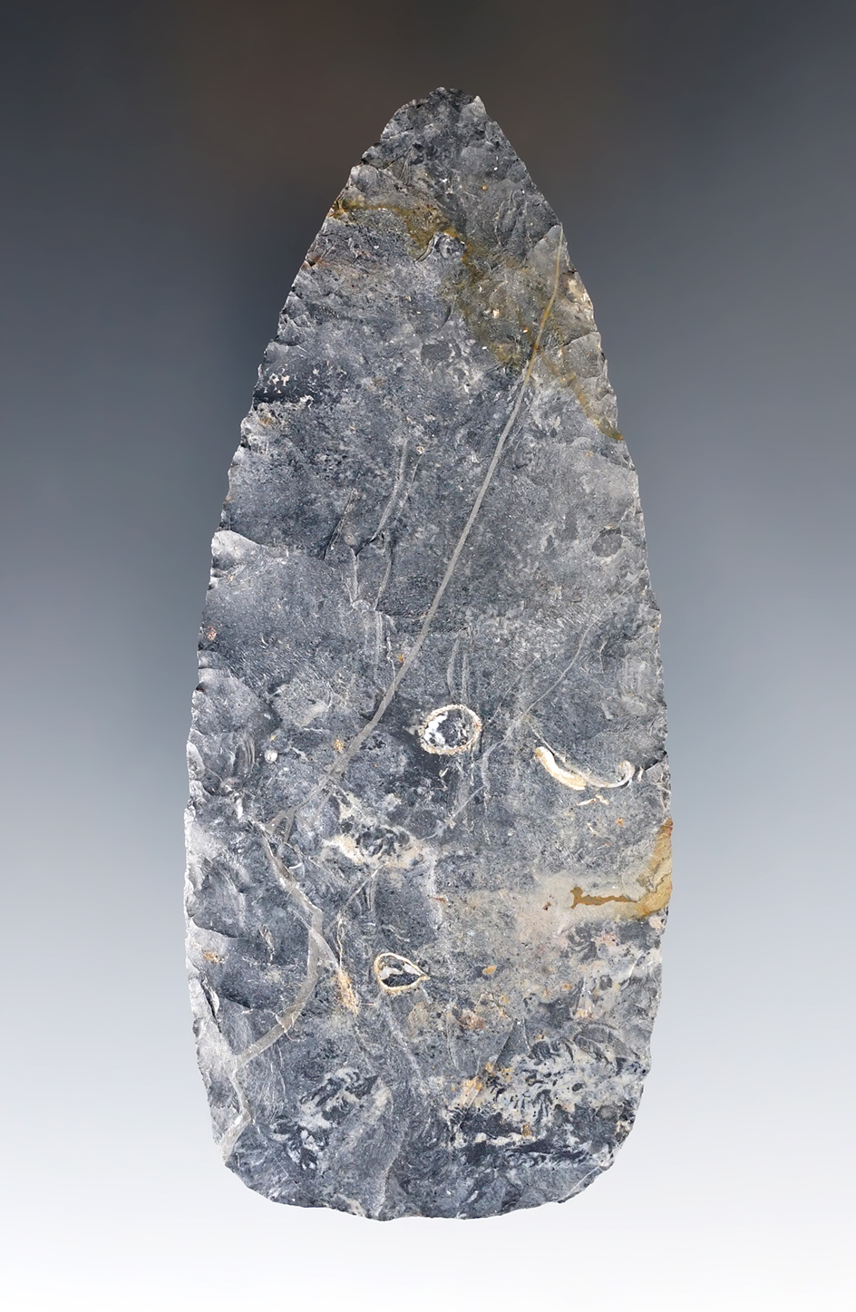 4 5/16" Cache blade made from Coshocton Flint. Excellent flaking.