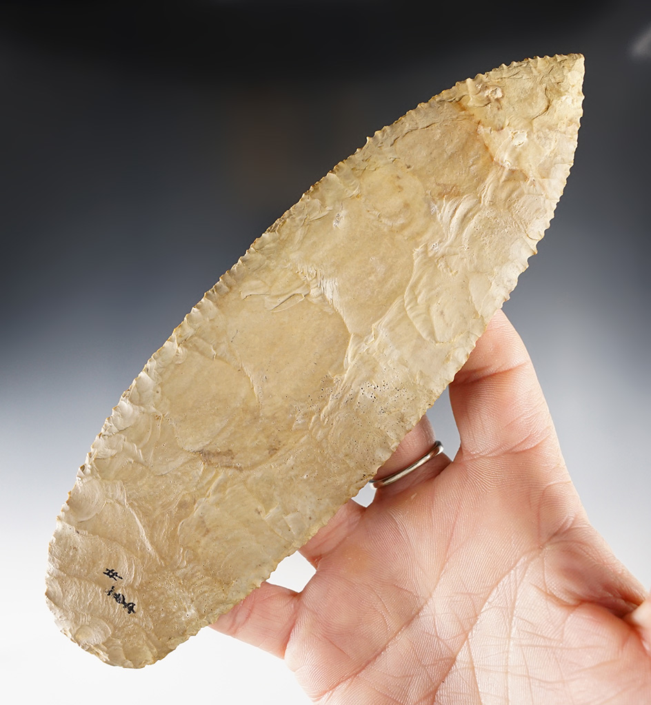 Main artifact image
